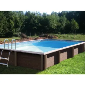 Piscina Naturalis Rettangolare 467x324 cm