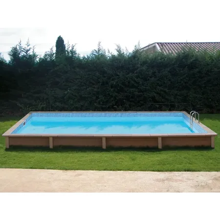 Piscina Naturalis Rettangolare 609x324 cm