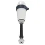 Sensor oro per Blue Connect - Speciale elettrolisi