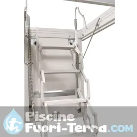 Pulitore Dolphin E25