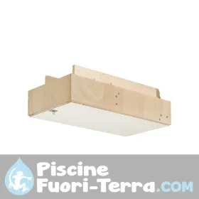 Pulitore Dolphin Aquarius R2