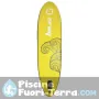 Tavole SUP Zray X1